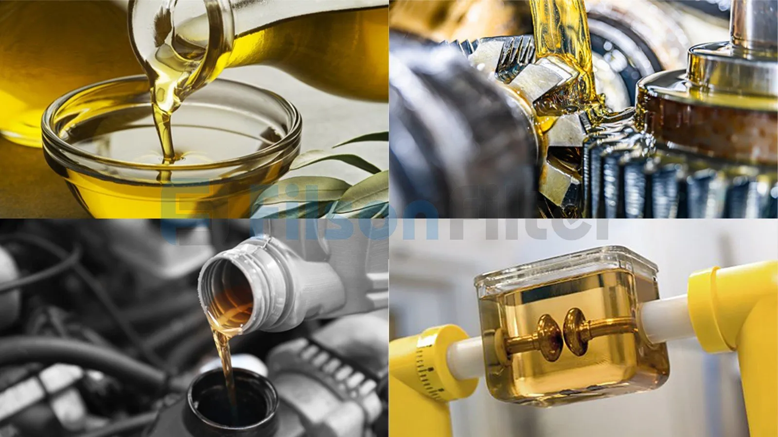 Sürtük Yağları üzrə Geniş Məhsul Seçimi